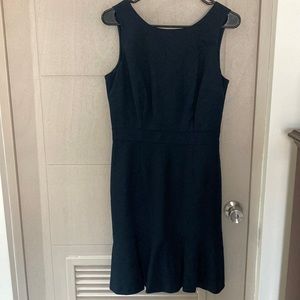 Banana Republic elegant flared dress